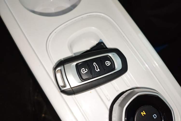 Used Geely Galaxy Panda 2024 Panda Mini 200km Endurance Bear Vehicle Key