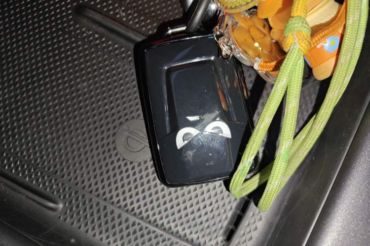 Used Tank 300 2025 2.4T Diesel Version
