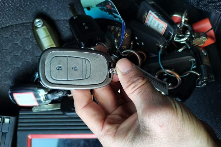 Used Honda XR-V 2024 1.5L CVT Thermal Edition
