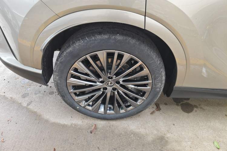 Used Lexus RX New Energy 2023 450h+ Four-Wheel Drive Enjoyment Edition Exterior 5