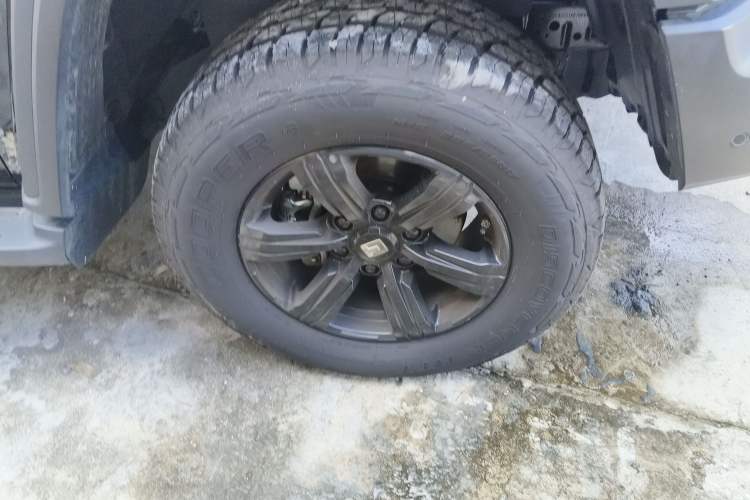 Used Tank 300 2025 2.4T Diesel Version