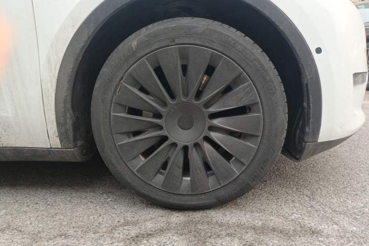 Used Tesla Model Y 2022 Revised Version Long-Range All-Wheel Drive
