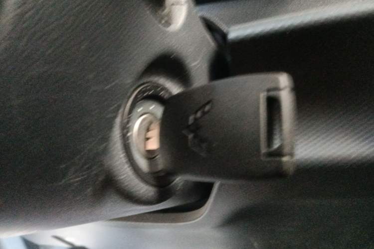 Used Wuling Hongguang New Energy 2024 All-Electric Model 300KM Standard Version
