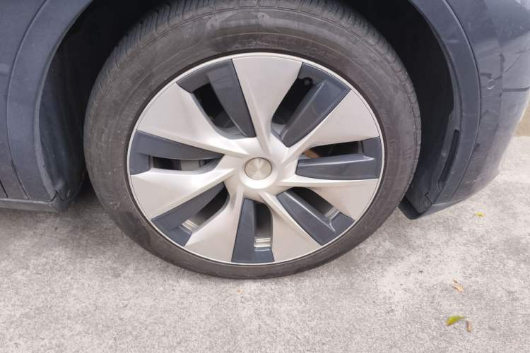 Used Tesla Model Y 2021 Standard Range Rear-Wheel Drive Version
