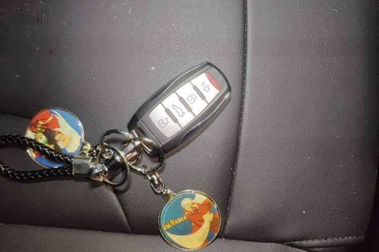 Used Haval H6 2018 Red-Label Sport Edition 1.5T Automatic Two-Wheel Drive Elite Model Vehicle Key