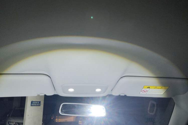 Used Leapmotor T03 2021 400 Lite Edition Lithium Iron Phosphate Headliner