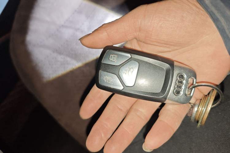 Used Audi Q7 New Energy 2019 55 e-tron
