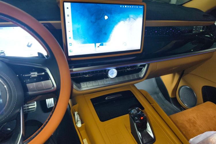 Used Tank 500 New Energy 2024 Hi4-T
