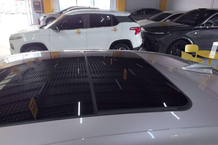 Used Hongqi H9 2020 3.0T Smart Connect Flagship Four-Seat Version Roof