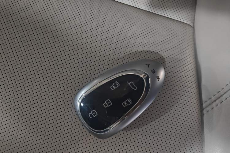 Used Wey Gaoshan 2023 Four-Wheel Drive Flagship Edition