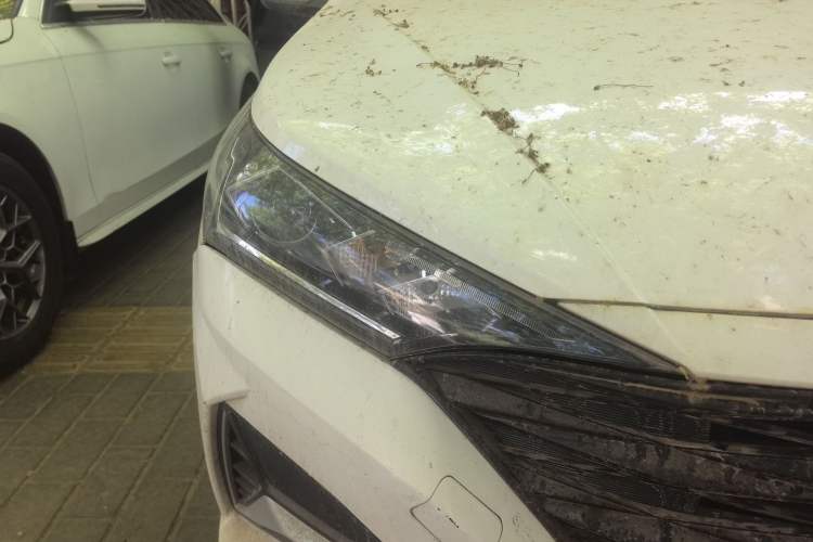 Used Hyundai Verna (new generation) 2020 1.4L Manual GLS Cool Edition