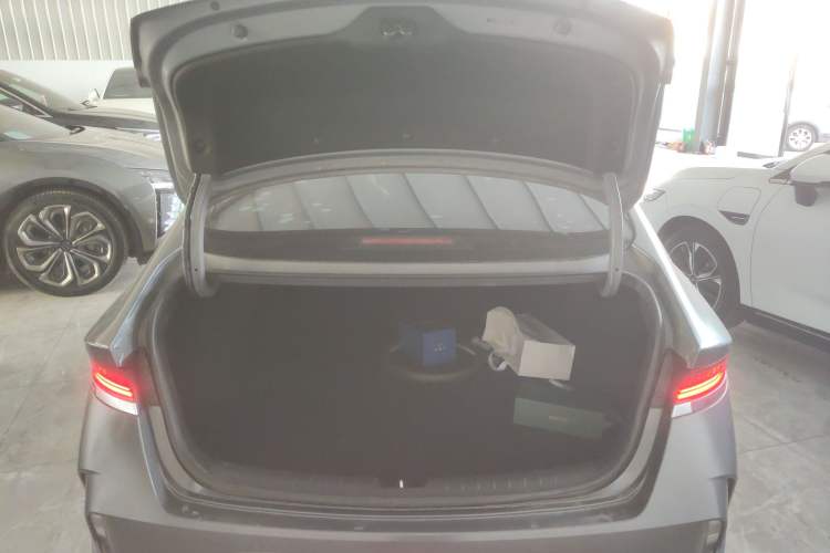 Used Hyundai Lafesta Electric 2020 DLX Enjoyment Edition
