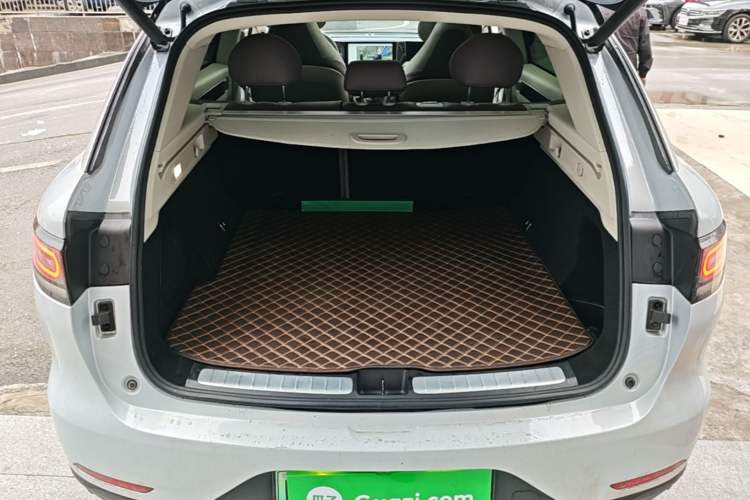 Used Leapmotor C11 2021 Executive Edition 610