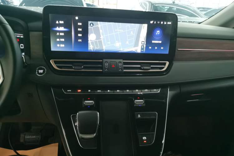 Used Hongqi HQ9 2023 2.0T Smart Connect Flagship Edition