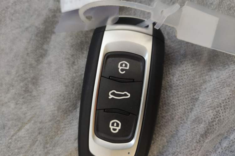 Used Geely Galaxy Panda 2024 Panda Mini 200km Endurance Bear
