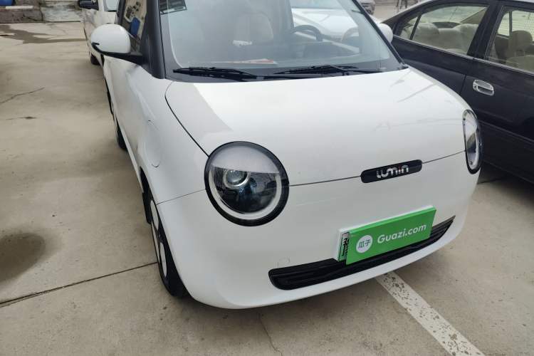 Used Qiyuan Lumin 2023 301km Honey Dew Edition