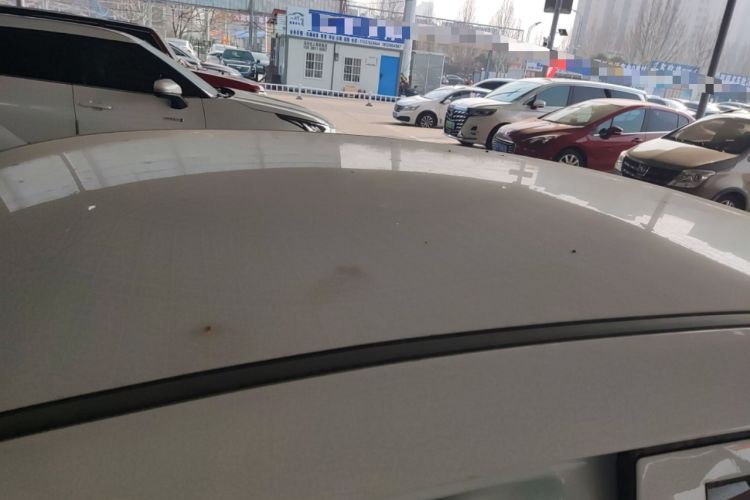 Used Livan Maple 60s 2025 Travel Edition
