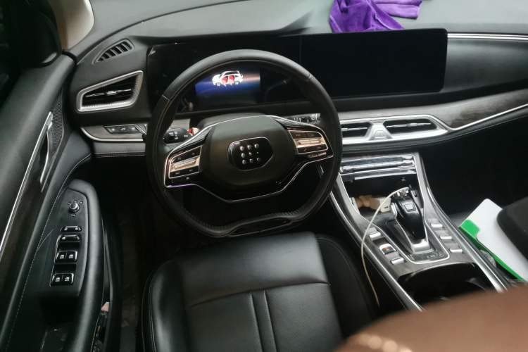 Used Landian E5 2024 Honor Edition 100KM Deluxe 7-Seater Steering Wheel