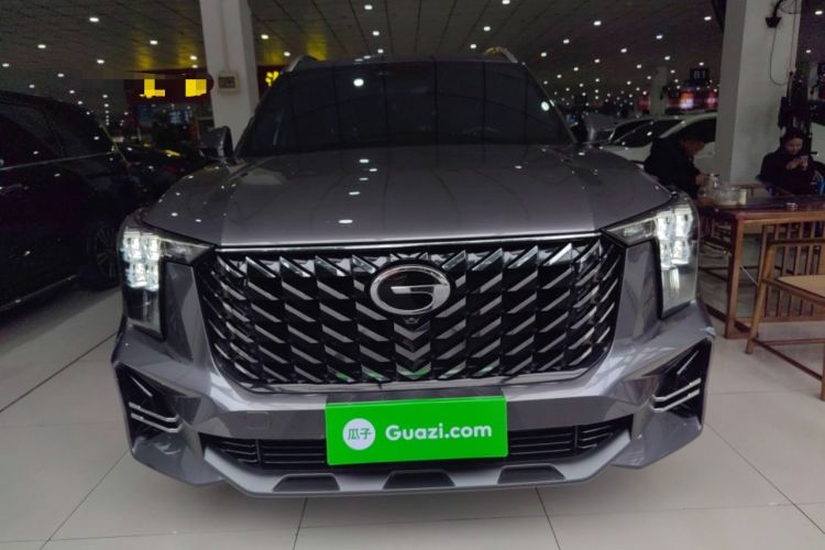 Used GAC Trumpchi GS8 2024 Linghang Series 2.0 TGDI Two-Wheel Drive Luxury Smart Connectivity Version
