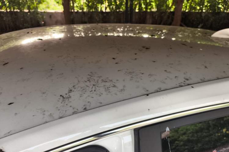 Used Buick Velite 6 2022 Connected & Shared PLUS