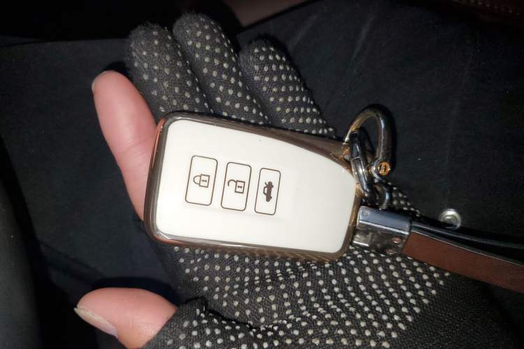 Used Lexus RX 2016 300 Two-Wheel Drive Elite Version China V Standard
