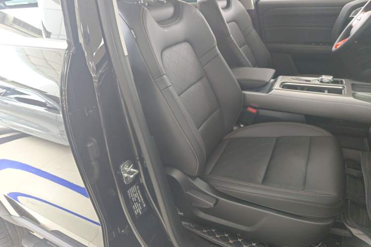 Used Haval DARGO 2024 2.0T DCT Chinese Rural Dog Edition
