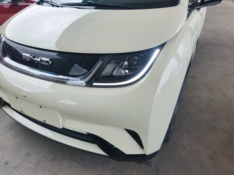Used BYD Dolphin 2021 405 km Fashion Edition — 23
