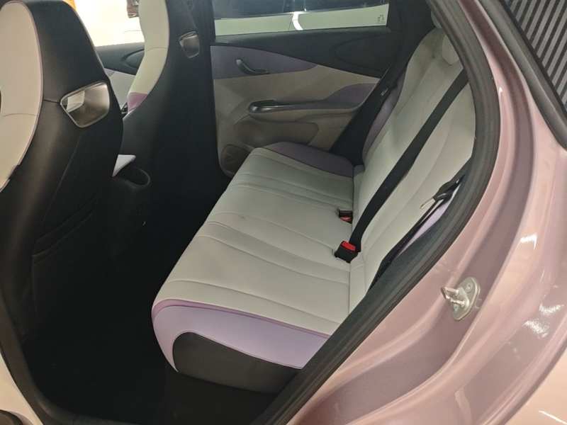 Used BYD Dolphin 2021 405 km Fashion Edition — 16