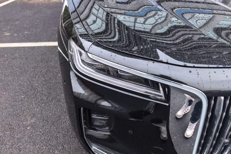 Used Hongqi H9 2020 3.0T Smart Connect Flagship Four-Seat Version
