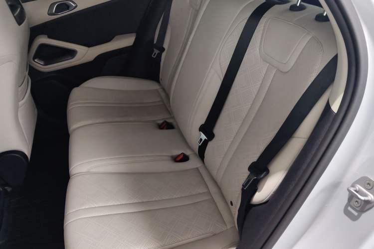 Used BYD Yuan UP 2024 401 km Active Version Left Rear Seat