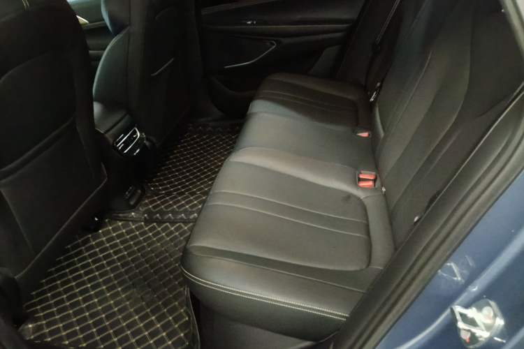 Used XPeng P5 2021 460G Left Rear Seat