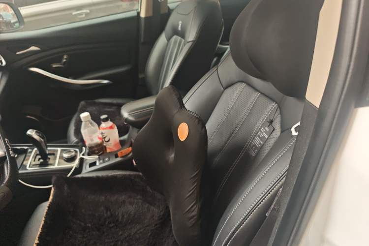 Used BYD Song New Energy 2019 Song EV500 Smart Connect Luxe Model Left Front Seat