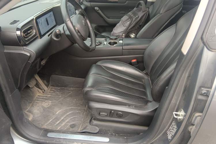 Used Leapmotor C11  Left Front Seat