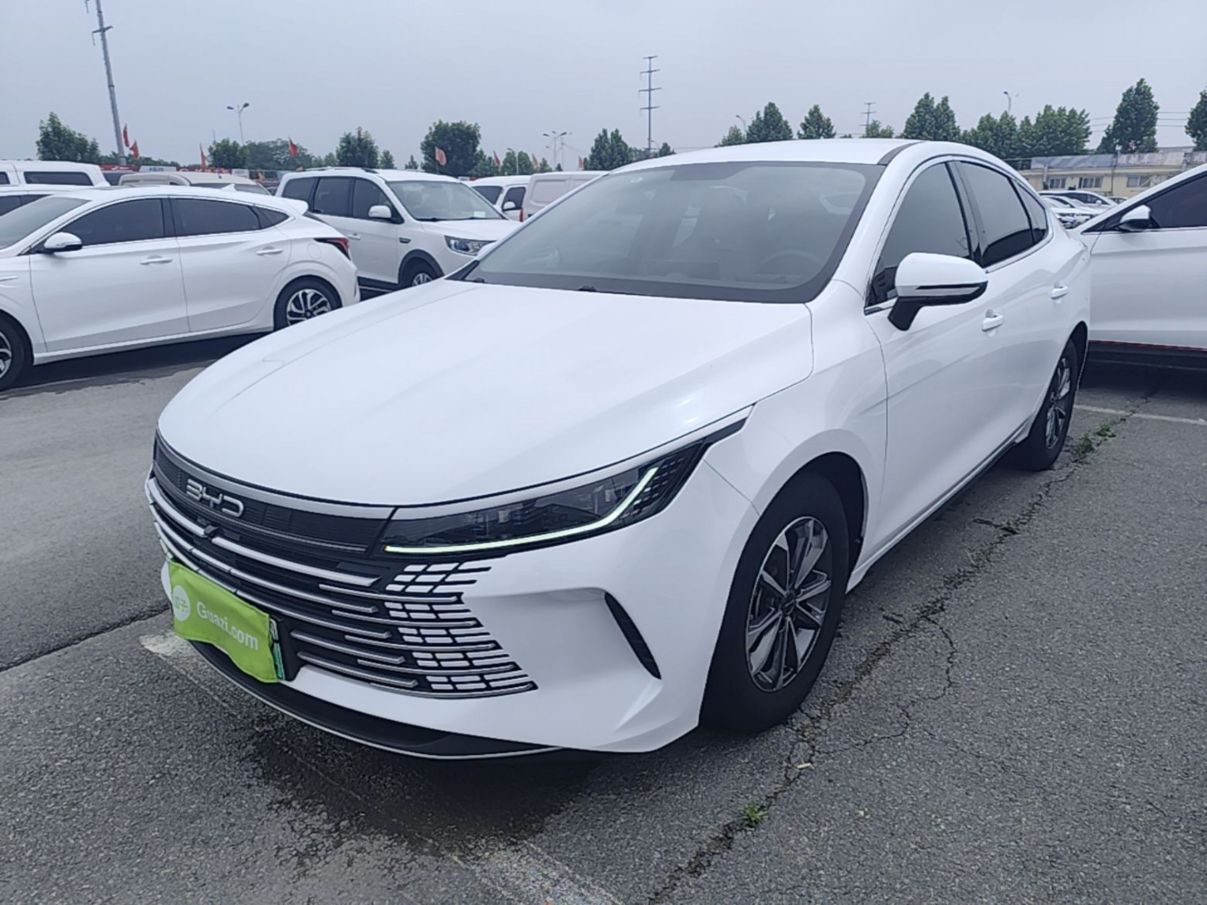 Under Front Bumper