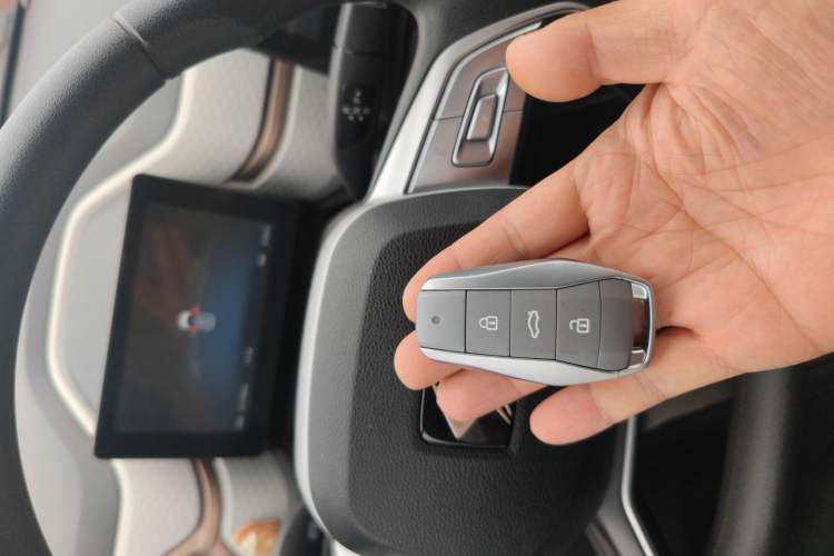 Used SOL E10X 2022 Flower Fairy Design Four-Leaf Clover
