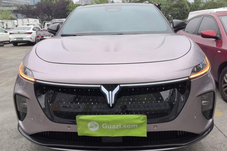 Used VOYAH COURAGE 2024 Four-Wheel Drive Global Edition Front