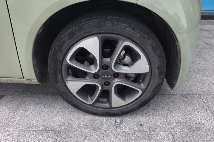 Used ORA White Cat 2020 305 km Luxury Version