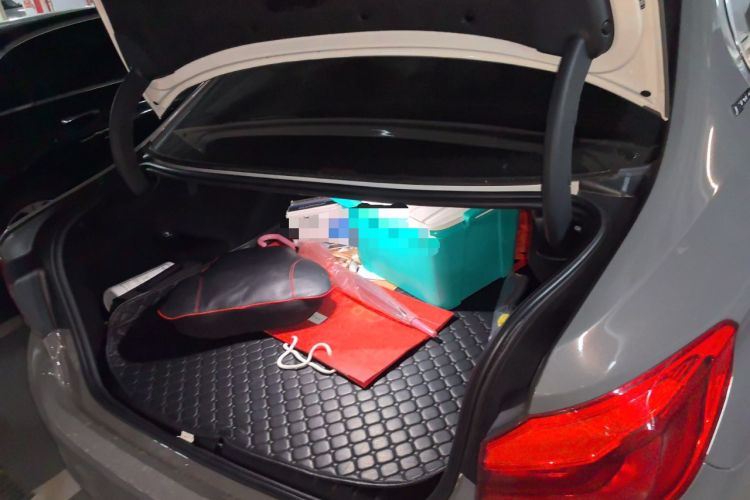 Used BMW 5 Series New Energy 2019 530Le Luxury Package