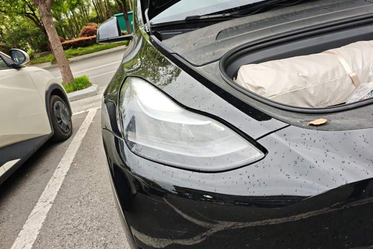 Used Tesla Model Y 2021 Standard Range Rear-Wheel Drive Version
