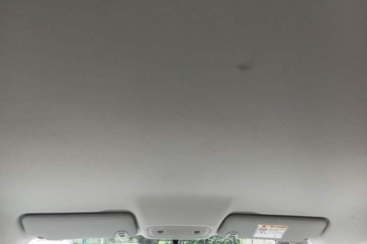 Used Leapmotor T03 2024 310 Comfort Edition Headliner