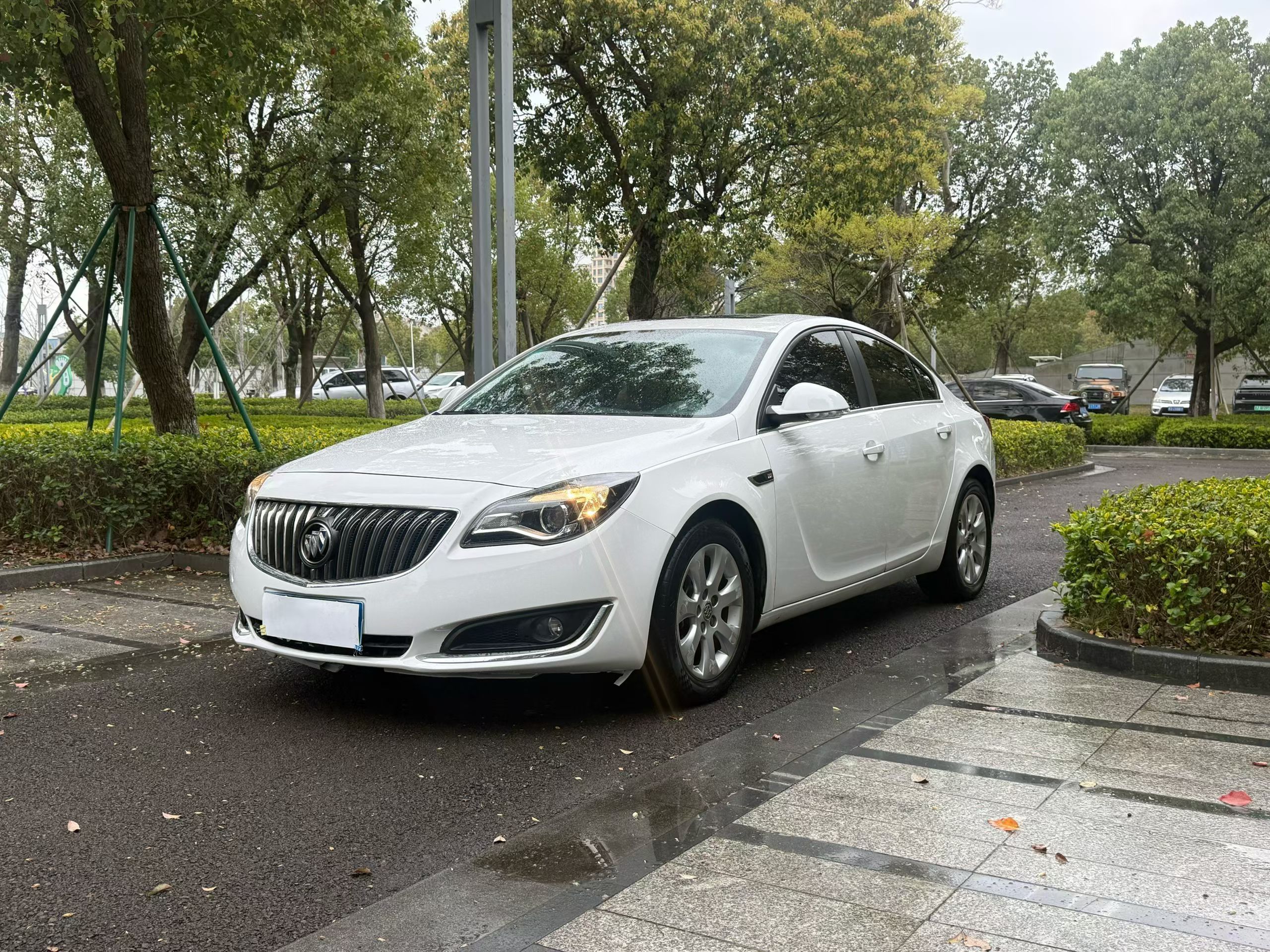 Parte inferior delantera