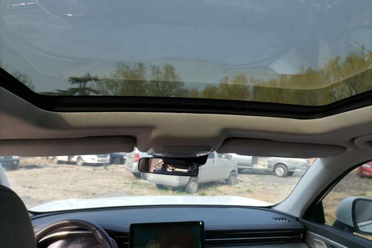 Used Skyworth EV6 2022 520 Joyful Edition Headliner