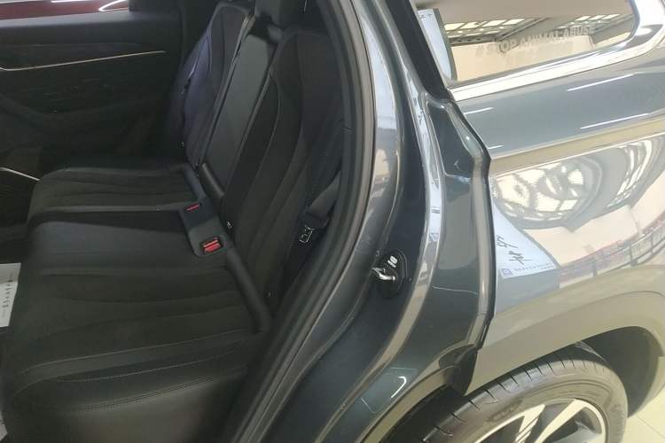 Used Geely Auto Monjaro L 2024 2.0TD High-Power Automatic Two-Wheel Drive Skyline Edition
