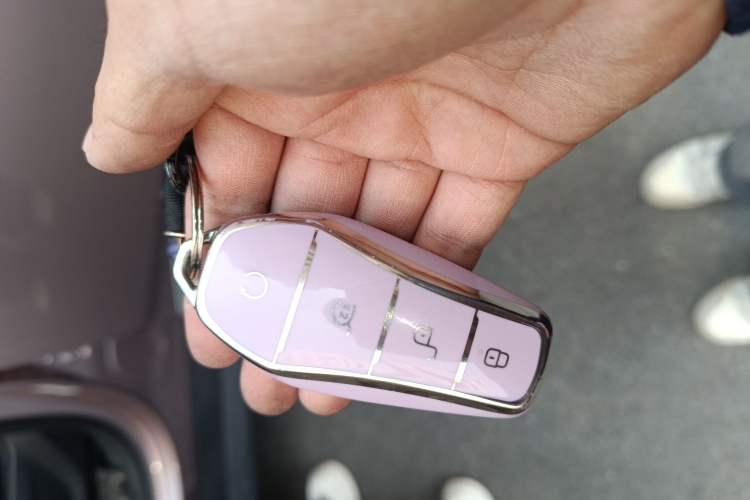 Used BYD Dolphin 2021 401km Knight Edition
