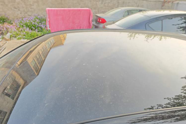 Used Chery Little Ant 2023 251km True Love Edition Lithium Iron Phosphate
