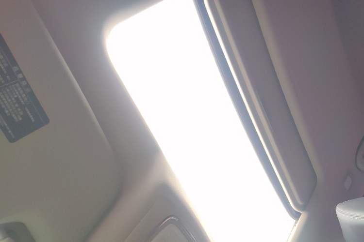 Used Venucia T90 2017 2.0L CVT Smart Edition Headliner