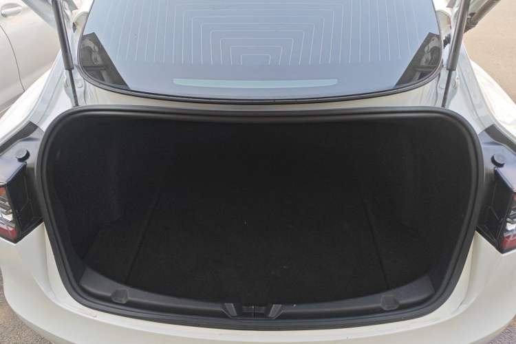 Used Tesla Model 3 2020 Revised Version Standard Range Rear-Wheel Drive – Upgraded Edition