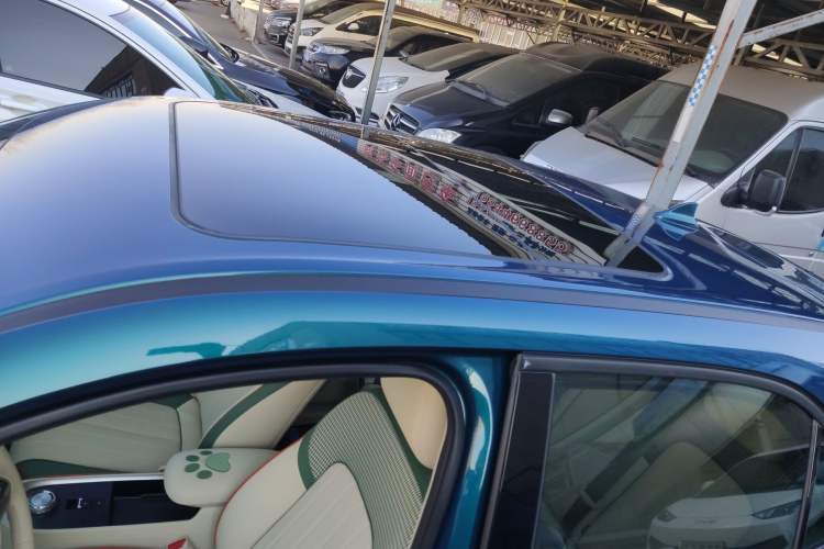 Used ORA Good Cat 2022 400km Standard Range Premium Version Lithium-Ion Battery