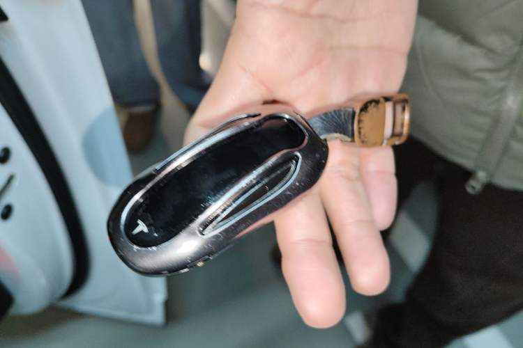 Used Tesla Model X 2017 X 100D Long Range Edition