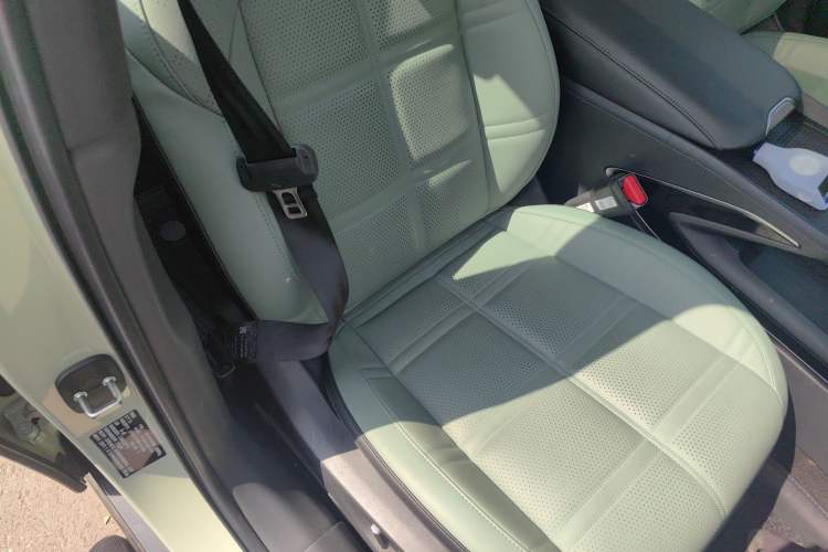 Used Hongqi EH7 2024 690 Pro Right Front Seat